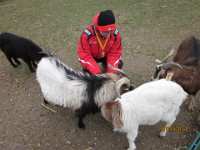 2014.03.15 - Possenlauf in Sondershausen-34